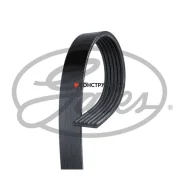 ������ ������������ XF Gates 6PK1043 6PK1043 ����
