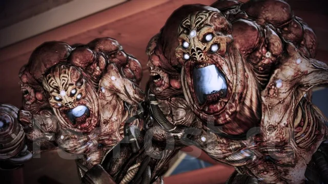����. ����