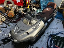 BRP Ski-Doo Skandic. ��������, ��� ���, ��� ������� ����