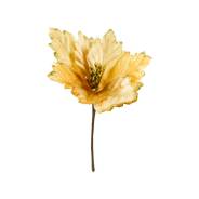 ������ ������������ 22*15�� ������� ��,������ GT 1�� DVL ����