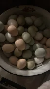 ������������� ���� ���������. ��� ����� �� ������������ ����
