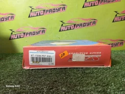 ������ ��������� EG1, EG2 ST-17220-P07-000 ST17220P07000 ����