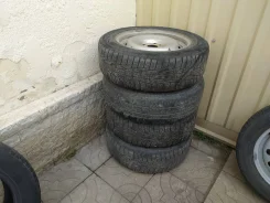 Nordman 4. ������, ��� �����, 2020 ���, �/�, ����� 50 % ����