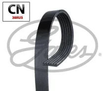 ������ ������������ 6PK1548 XF Gates 6PK1548 6PK1548 ����