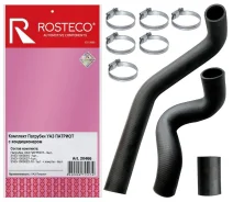 �������� ��������� ��� ������� � 2008- ���409 ����-3,4 � ������. (�-�=3��) Rosteco 20466 ����