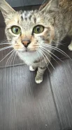 �����. ����