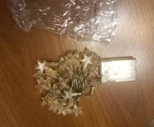 �������� ��������� ����
