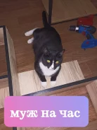 ��� �� ���. ����