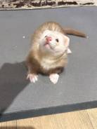 ������. ����