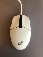 ���� �������. ����