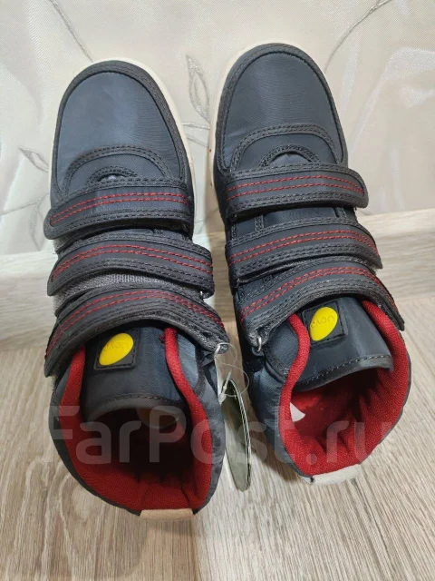 �������. 36 ����