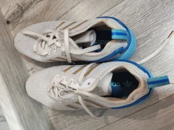 ���������. 33, 35 ����