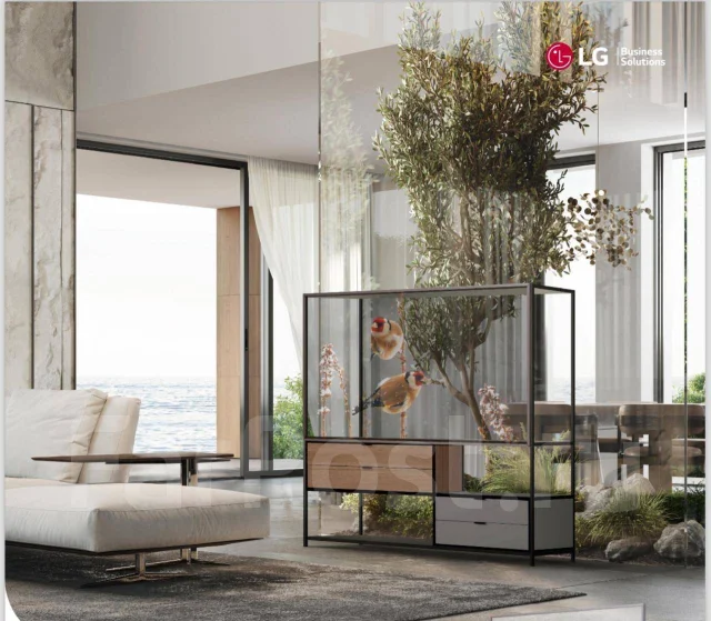 LG. OLED ����