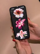 Apple iPhone 15 Plus. �/�, 512 ��, ������ ����
