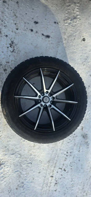 Shogun. 8.0x17", 5x100, 5x114.3 ����