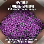 ��������. ��� ����� �� ���������� ����