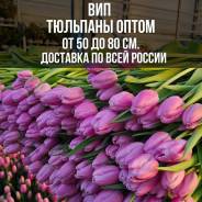 ��������. ��� ����� �� ���������� ����