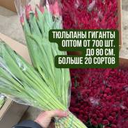 ��������. ��� ����� �� ���������� ����