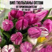 ��������. ��� ����� �� ���������� ����