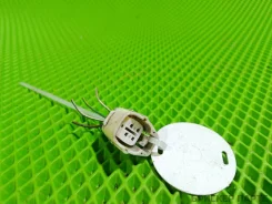 ������ (�����, ������, �������) ���� ��� ������ ������� 2 (T250) 81170-05190 81170-05190 8117005190 ����