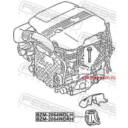 ������� ��� �����! MB C-Class W205 13 Febest BZM2054WDLH BZM2054WDLH ����