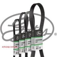 ������! �������� ������ 1122�� Thermo King SL/SLe/SLX/SLXe Gates CB0010 CB0010 ����