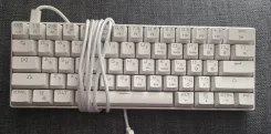 ����������. ����