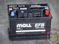 Moll