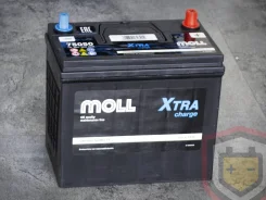 Moll