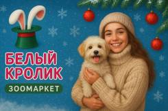 ������������� ��������. �� ��������� �.�. ����� ����������� 14 ����