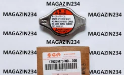 ������ ��������� (������ ������, 1.1) Suzuki 17920M75F00 17920M75F00 ����