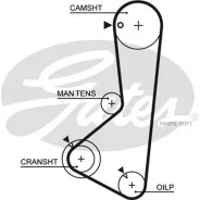 ������ ��� Mitsubishi Galant IV 2.0 87-92 (122x24) Gates 5256XS Gates 5256XS 5256XS ����