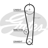 ������ ��� Gates 5591XS 111x25 Gates 5591XS 5591XS ����