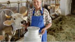 �������� �� ���������. �� ������ �.� ����