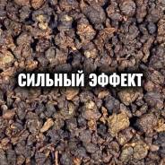 ��� ����. ����