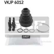 ������� ���� �������� VKJP6012 ����