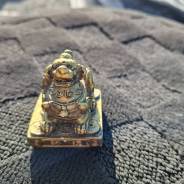 ��������� � �������. ����