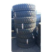 Casumina RS694. �����������, ����� ����