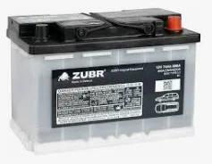 Zubr