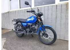 Colt