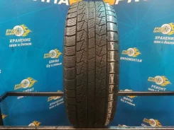 Roadstone Winguard Ice