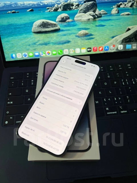Apple iPhone 14 Pro Max. �/�, 1 ��, ����������, 3G, 4G LTE, Dual-SIM, NFC ����