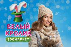 ��������. �� ��������� �.� ����