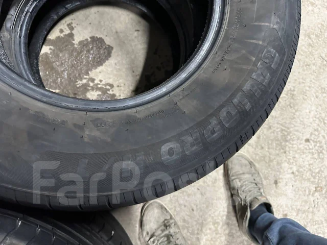 ZMax Gallopro H/T. ������, 2023 ���, �/�, ����� 20 % ����