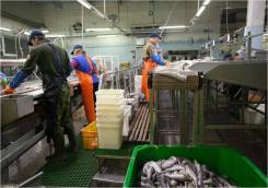 ��������������. ��� �� "���� ������". ����� �������� 104 ����