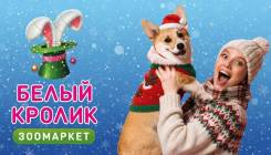 ������������� ����. �� ��������� �.�. �������� �������� 20 ����