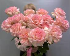 ����. ����