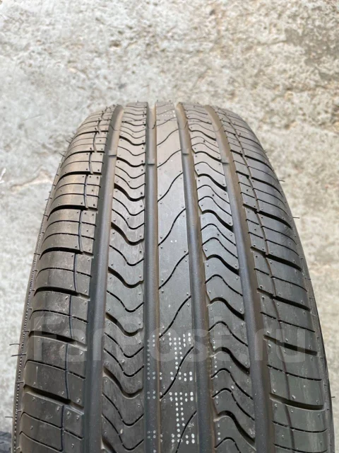 Nereus Dyntrac. ������, 2025 ���, ����� ����
