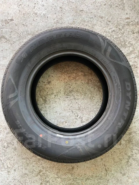 Nereus Dyntrac. ������, 2025 ���, ����� ����