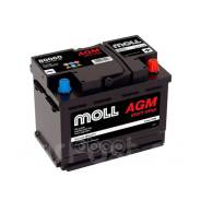 Moll. 60��.�., L2, 680��., ��������, ������������ ������ ����